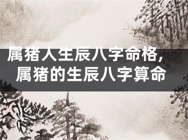 属猪人生辰八字命格,属猪的生辰八字算命