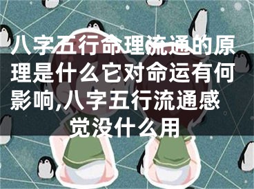 八字五行命理流通的原理是什么它对命运有何影响,八字五行流通感觉没什么用