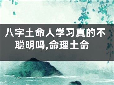 八字土命人学习真的不聪明吗,命理土命