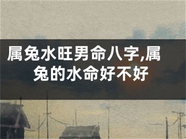 属兔水旺男命八字,属兔的水命好不好