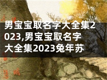 男宝宝取名字大全集2023,男宝宝取名字大全集2023兔年苏