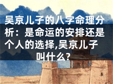 吴京儿子的八字命理分析：是命运的安排还是个人的选择,吴京儿子叫什么?