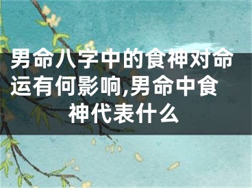 男命八字中的食神对命运有何影响,男命中食神代表什么