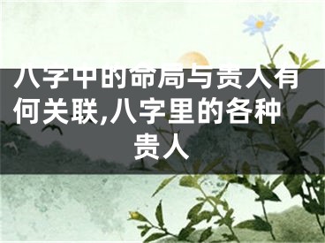 八字中的命局与贵人有何关联,八字里的各种贵人