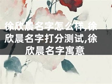 徐欣晨名字怎么样,徐欣晨名字打分测试,徐欣晨名字寓意