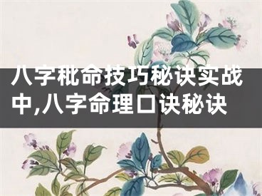 八字秕命技巧秘诀实战中,八字命理口诀秘诀