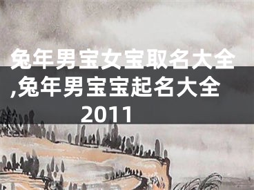 兔年男宝女宝取名大全,兔年男宝宝起名大全2011