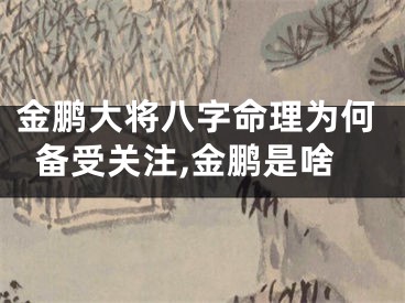 金鹏大将八字命理为何备受关注,金鹏是啥
