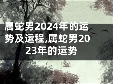 属蛇男2024年的运势及运程,属蛇男2023年的运势