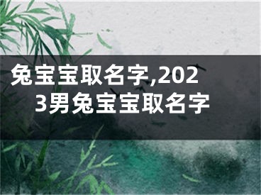 兔宝宝取名字,2023男兔宝宝取名字
