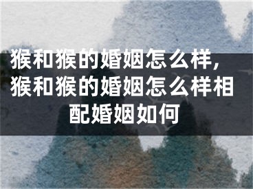 猴和猴的婚姻怎么样,猴和猴的婚姻怎么样相配婚姻如何