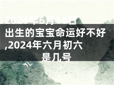 2024年6月14日出生的宝宝命运好不好,2024年六月初六是几号