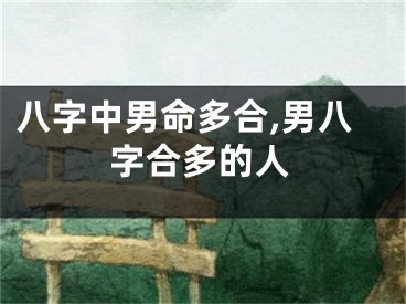八字中男命多合,男八字合多的人