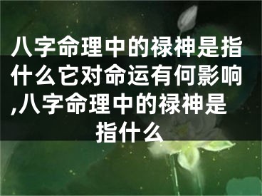 八字命理中的禄神是指什么它对命运有何影响,八字命理中的禄神是指什么