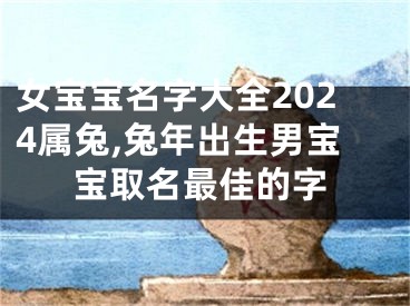 女宝宝名字大全2024属兔,兔年出生男宝宝取名最佳的字