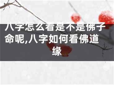 八字怎么看是不是佛子命呢,八字如何看佛道缘