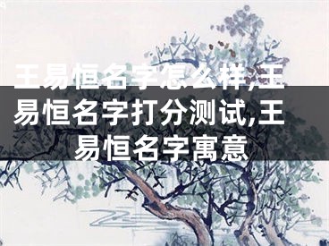 王易恒名字怎么样,王易恒名字打分测试,王易恒名字寓意