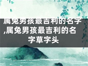属兔男孩最吉利的名字,属兔男孩最吉利的名字草字头