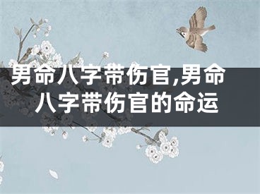 男命八字带伤官,男命八字带伤官的命运