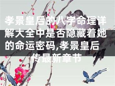 孝景皇后的八字命理详解大全中是否隐藏着她的命运密码,孝景皇后传最新章节