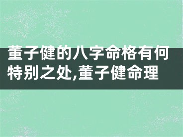 董子健的八字命格有何特别之处,董子健命理