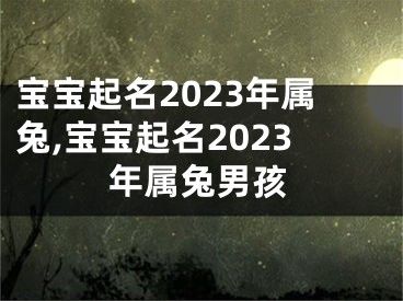 宝宝起名2023年属兔,宝宝起名2023年属兔男孩