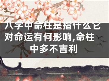 八字中命柱是指什么它对命运有何影响,命柱中多不吉利