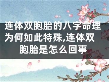连体双胞胎的八字命理为何如此特殊,连体双胞胎是怎么回事