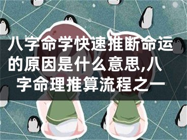 八字命学快速推断命运的原因是什么意思,八字命理推算流程之一