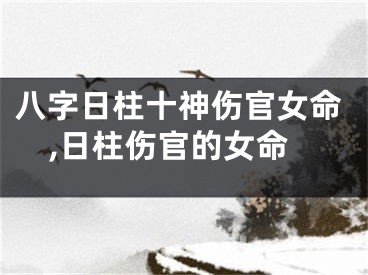 八字日柱十神伤官女命,日柱伤官的女命