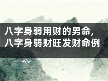 八字身弱用财的男命,八字身弱财旺发财命例