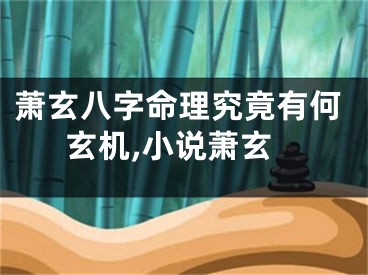萧玄八字命理究竟有何玄机,小说萧玄