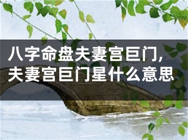 八字命盘夫妻宫巨门,夫妻宫巨门星什么意思