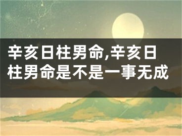 辛亥日柱男命,辛亥日柱男命是不是一事无成