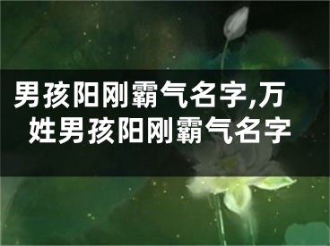 男孩阳刚霸气名字,万姓男孩阳刚霸气名字