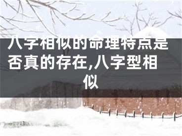 八字相似的命理特点是否真的存在,八字型相似