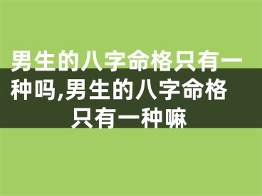 男生的八字命格只有一种吗,男生的八字命格只有一种嘛