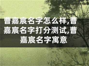 曹嘉宸名字怎么样,曹嘉宸名字打分测试,曹嘉宸名字寓意