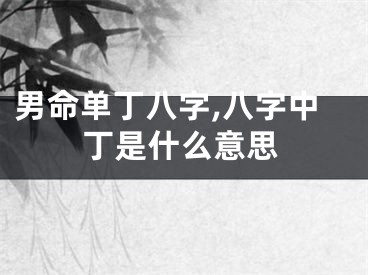 男命单丁八字,八字中丁是什么意思