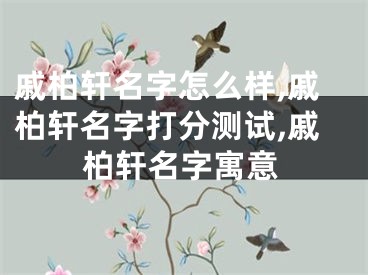 戚柏轩名字怎么样,戚柏轩名字打分测试,戚柏轩名字寓意