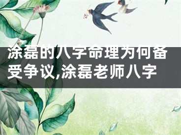 涂磊的八字命理为何备受争议,涂磊老师八字
