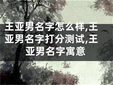 王亚男名字怎么样,王亚男名字打分测试,王亚男名字寓意