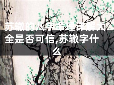 苏辙的八字命理详解大全是否可信,苏辙字什么