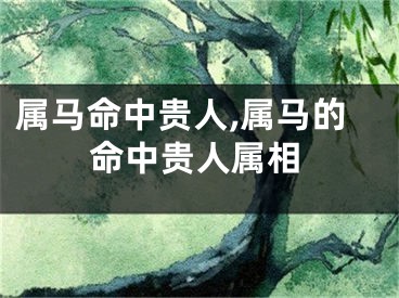 属马命中贵人,属马的命中贵人属相