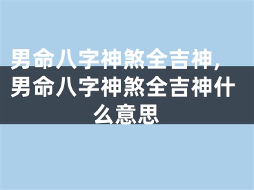 男命八字神煞全吉神,男命八字神煞全吉神什么意思