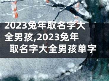 2023兔年取名字大全男孩,2023兔年取名字大全男孩单字