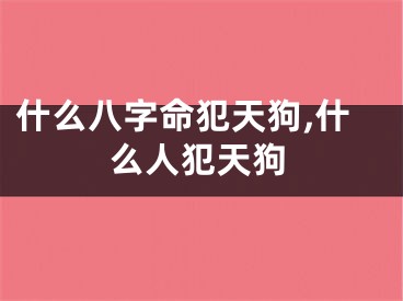 什么八字命犯天狗,什么人犯天狗