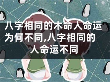 八字相同的木命人命运为何不同,八字相同的人命运不同