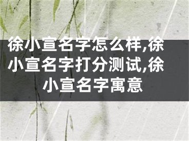 徐小宣名字怎么样,徐小宣名字打分测试,徐小宣名字寓意
