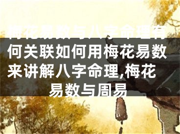 梅花易数与八字命理有何关联如何用梅花易数来讲解八字命理,梅花易数与周易